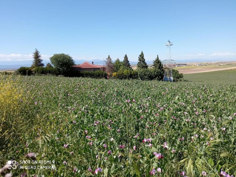 Finca Denunez Villa La Mata  Bagian luar foto