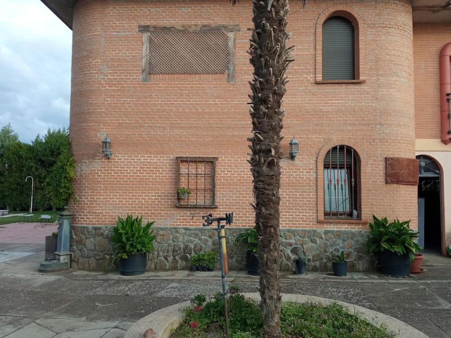 Finca Denunez Villa La Mata  Bagian luar foto